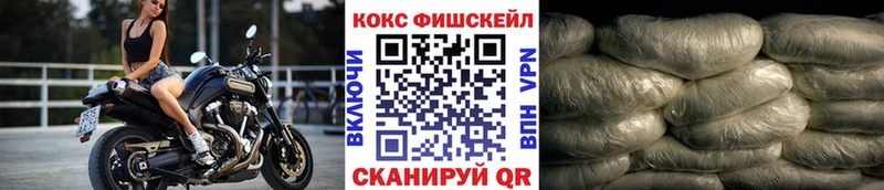 Купить  Пугачёв  КОКАИН Fish Scale 