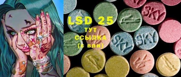 стаф Елабуга