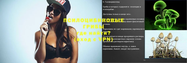 метамфетамин Елизово