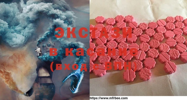 стаф Елабуга