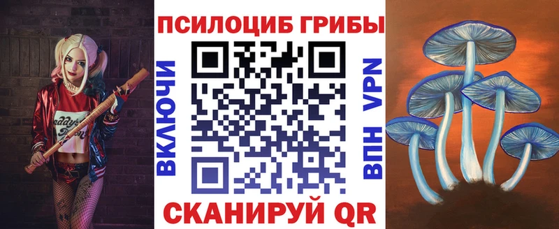 Купить закладки  Пугачёв  Галлюциногенные грибы Magic Shrooms 